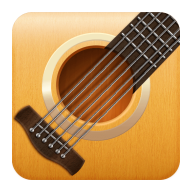 Acoustic Guitar