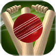 CricketQuiz