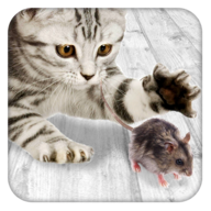 Game for cats icon