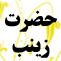 بانوي کربلا حضرت زينب سلام الله عليها icon