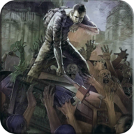 Projet Zomboid Survival icon