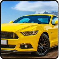 Mustang_car_racing_new