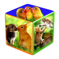 PhotoCube icon