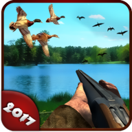 Wild Duck Hunting 2017