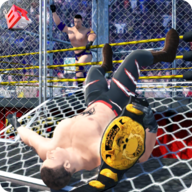 Wrestling Cage Revolution icon