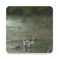 Rain Live Wallpaper