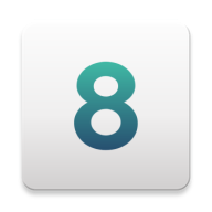 8.8.8.8 icon