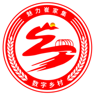 崔家集数字乡村 icon