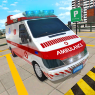 Ambulance Hospital Parking