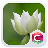 lotus icon