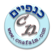 כנפיים icon