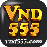 VND555