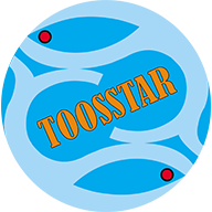 ToosStar