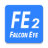 FE DVR 2.0