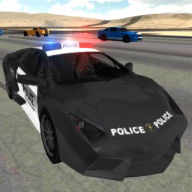 Police Car Driving Simulator