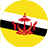 Brunei National Anthem icon