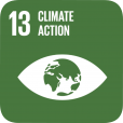 SDG 13: NICOLE icon