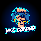 MSC GAMING INJECTOR