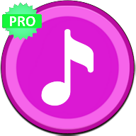 MP3 Player Pro