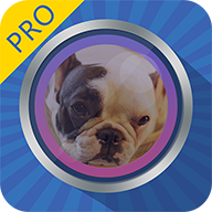 Face Warp Pro icon