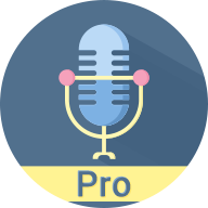 Voice Recorder For Reporter Pro