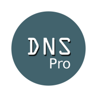 DNS Manager Pro icon