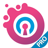 Ozity VPN Pro