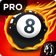 R8 Pro Pool icon