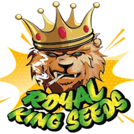 Royal King Seeds