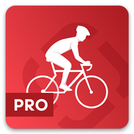 Road Bike PRO