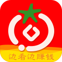 番茄看点 icon