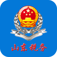 山东省电子税务局 icon