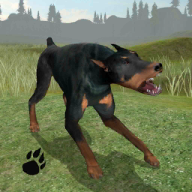 Dog Survival Simulator