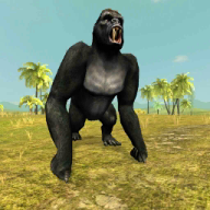 Wild Gorilla