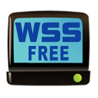 WSS 3.1