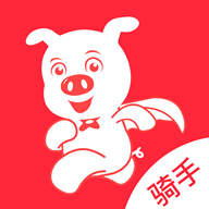 懒猪骑士 icon