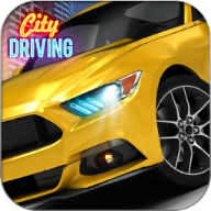 City Driving