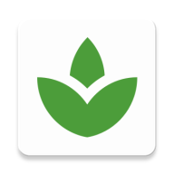 City Trees icon