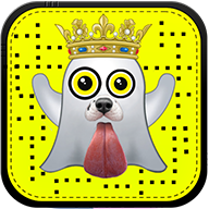 SnapCam live sticker