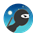 Ninja Run icon