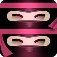 Ninja Twins icon