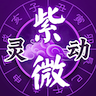 灵动紫微 icon