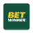 BetWinner icon